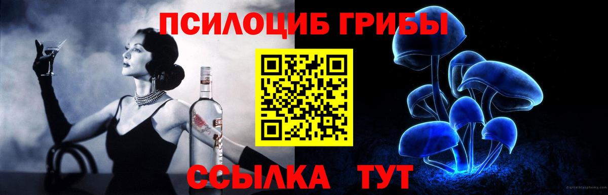 Галлюциногенные грибы Psilocybe  Вход с VPN  Псилоцибиновые грибы мицелий  Миасс 